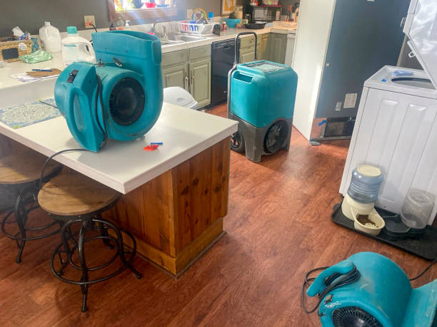 Best Water damage cleanup near me  in Boerne, TX