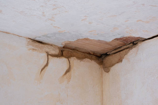 Best Flood restoration services  in Boerne, TX