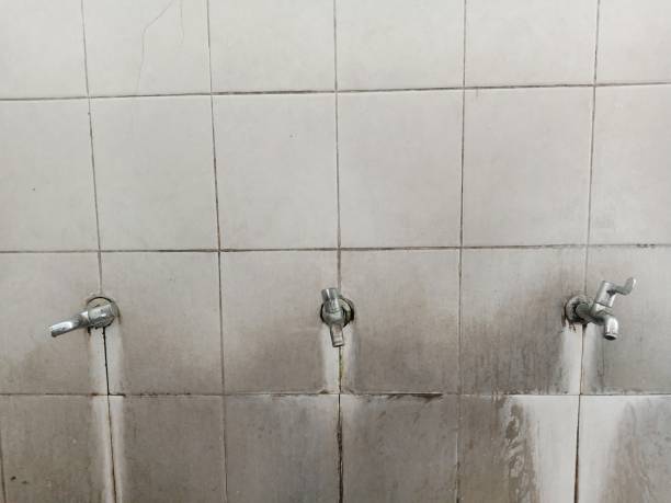 Best Flood restoration services  in Boerne, TX